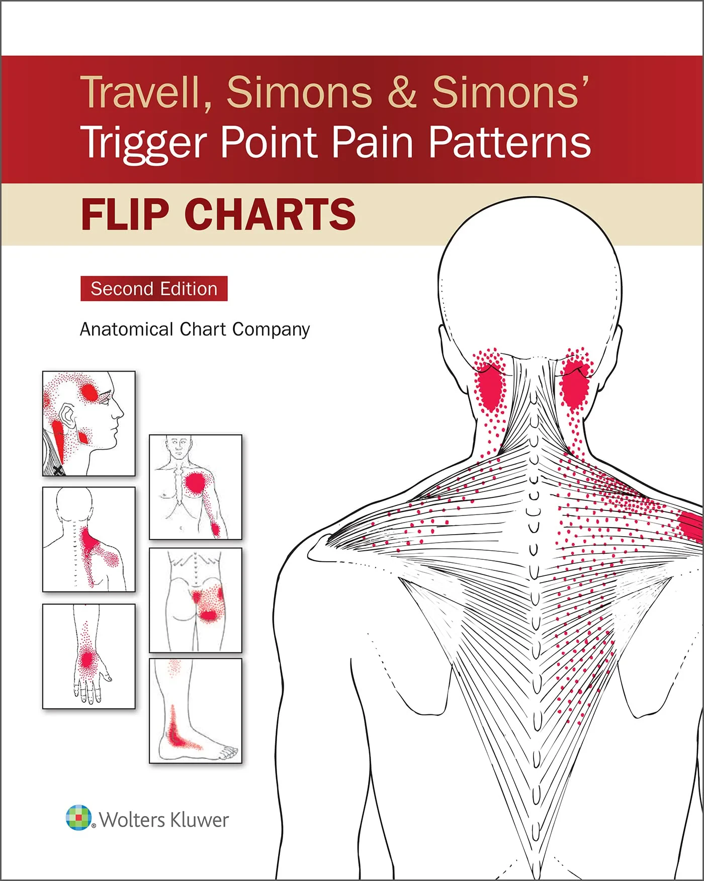 Coperta cărții "Travell, Simons &amp; Simons’ Trigger Point Flip Charts" de ACC
