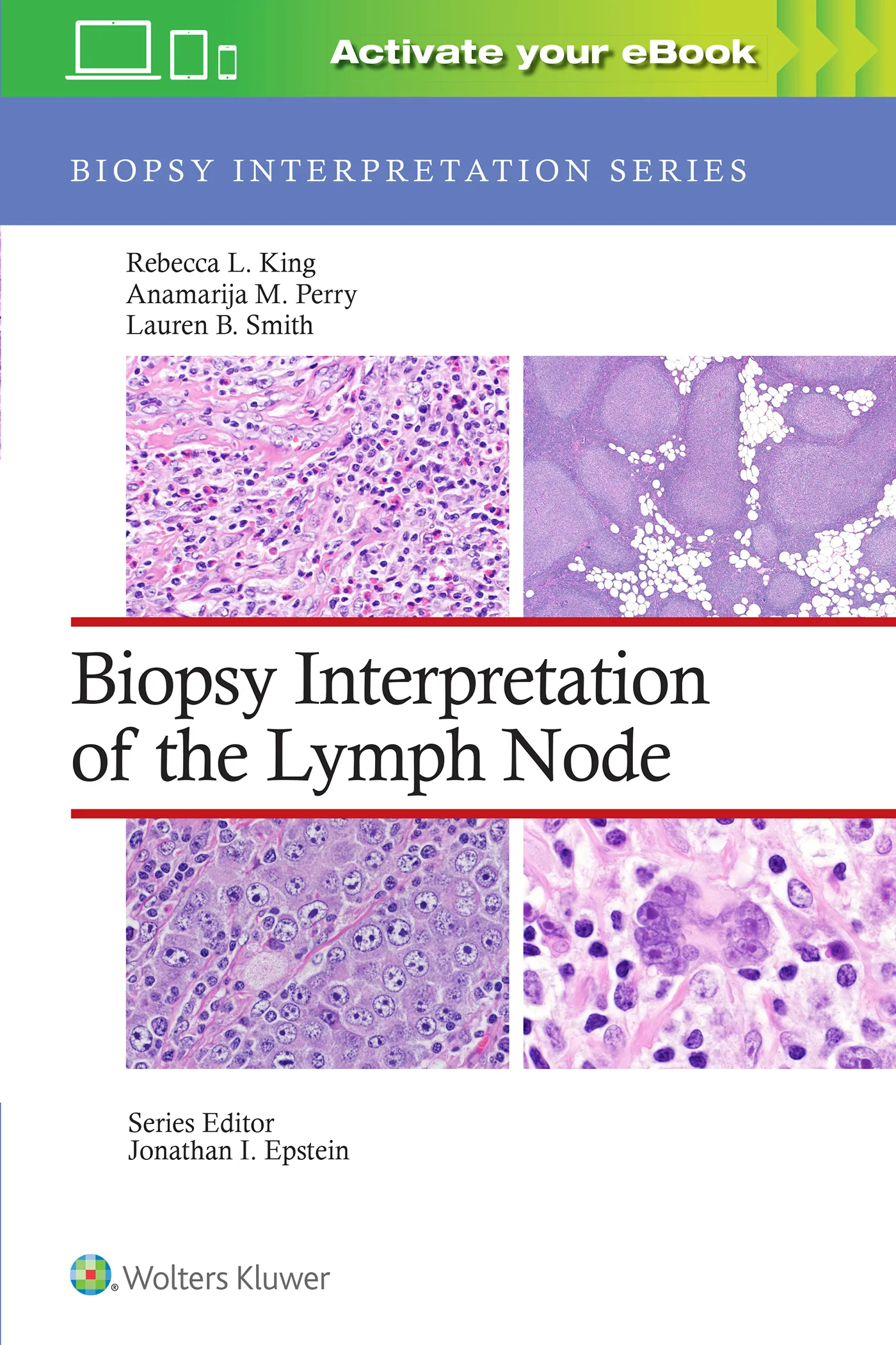 Coperta cărții "Biopsy Interpretation of the Lymph Node" de Rebecca Leigh King MD, Anamarija M. Perry MD, Lauren B. Smith MD