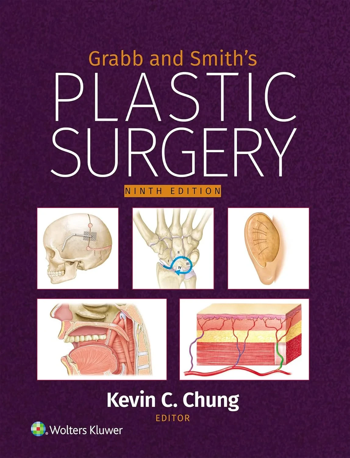 Grabb and Smith’s Plastic Surgery: Print + Digital...
