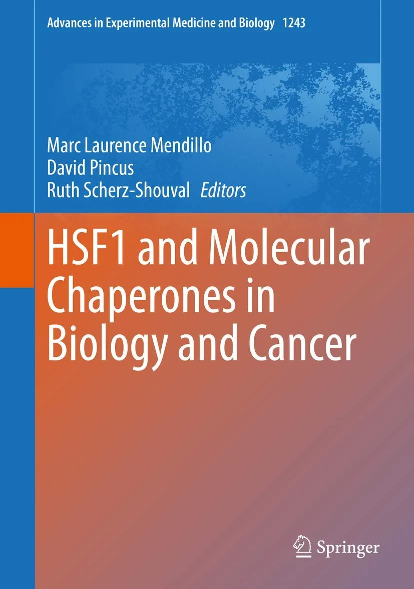 Coperta cărții "HSF1 and Molecular Chaperones in Biology and Cancer" de RUTH, David, Mendillo, Marc Laurence, Pincus, Scherz-Shouval