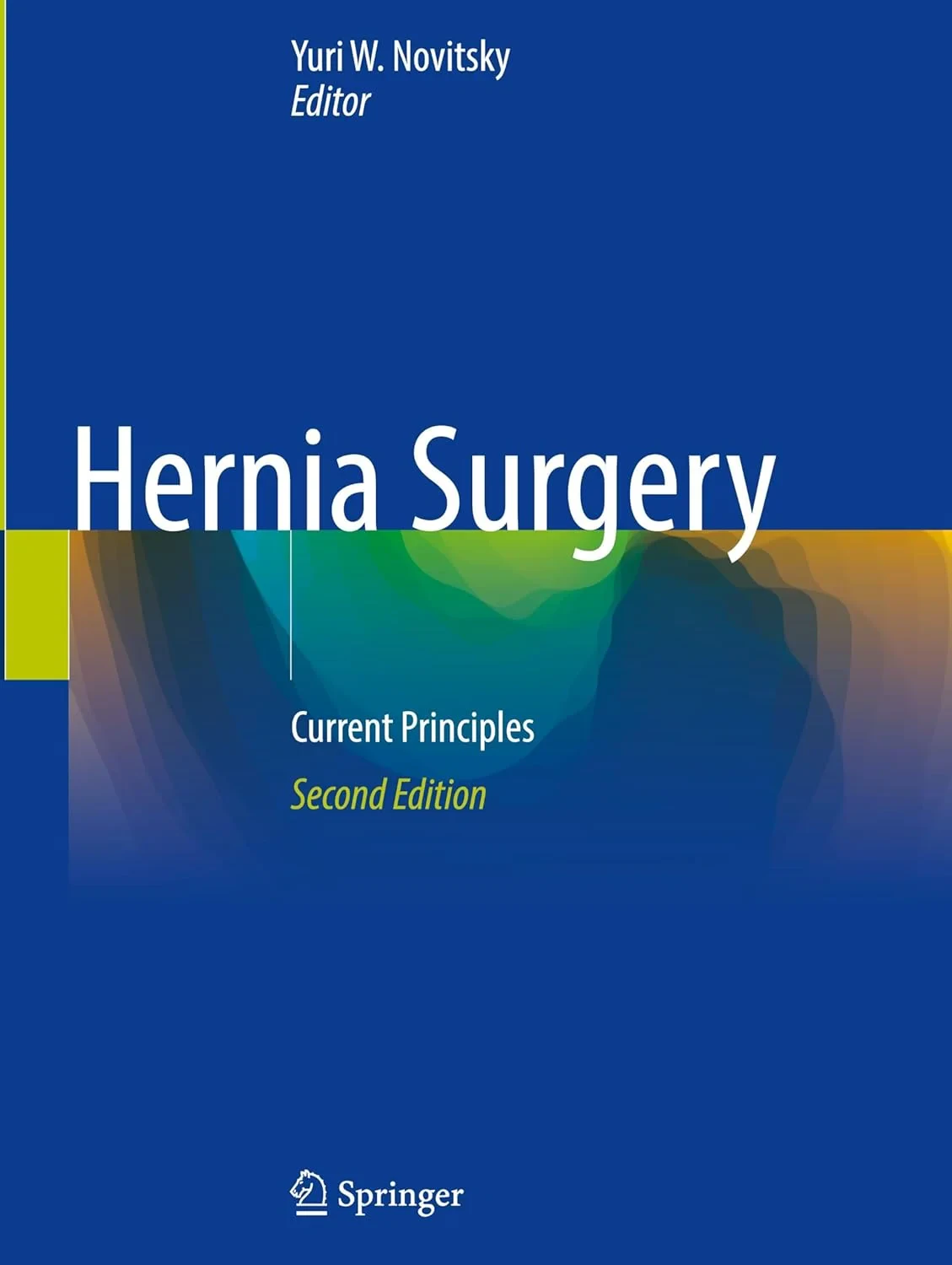 Hernia Surgery. Current Principles
