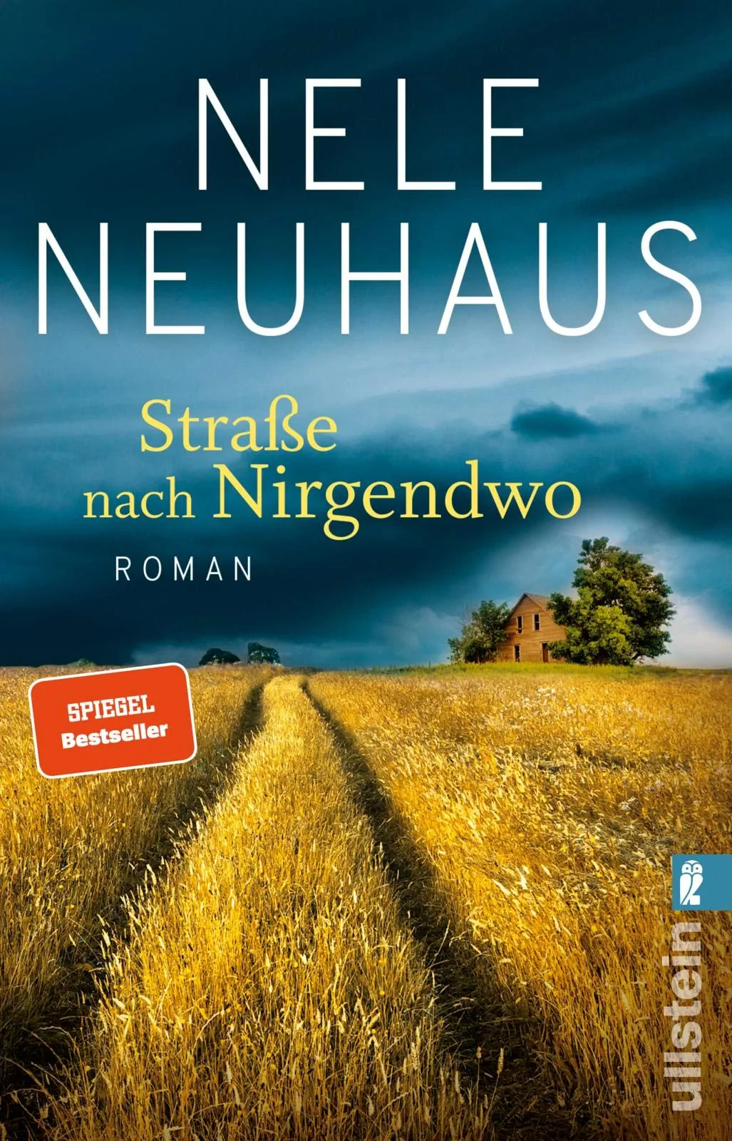 Coperta cărții "Strabe nach Nirgendwo" de Nele Neuhaus