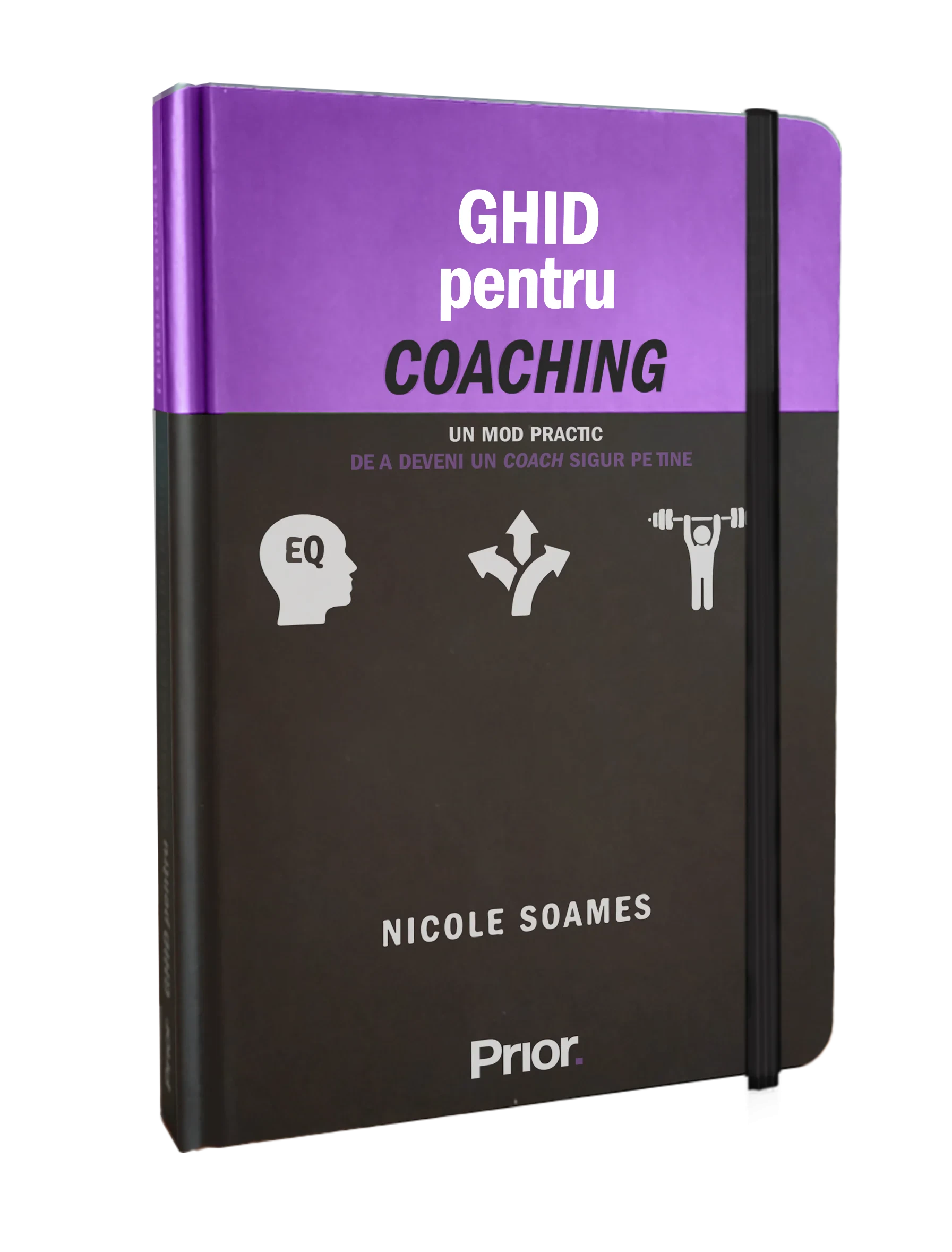 Coperta cărții "GHID pentru COACHING" de Nicole Soames, Ioana Nuțulescu (Traducator)