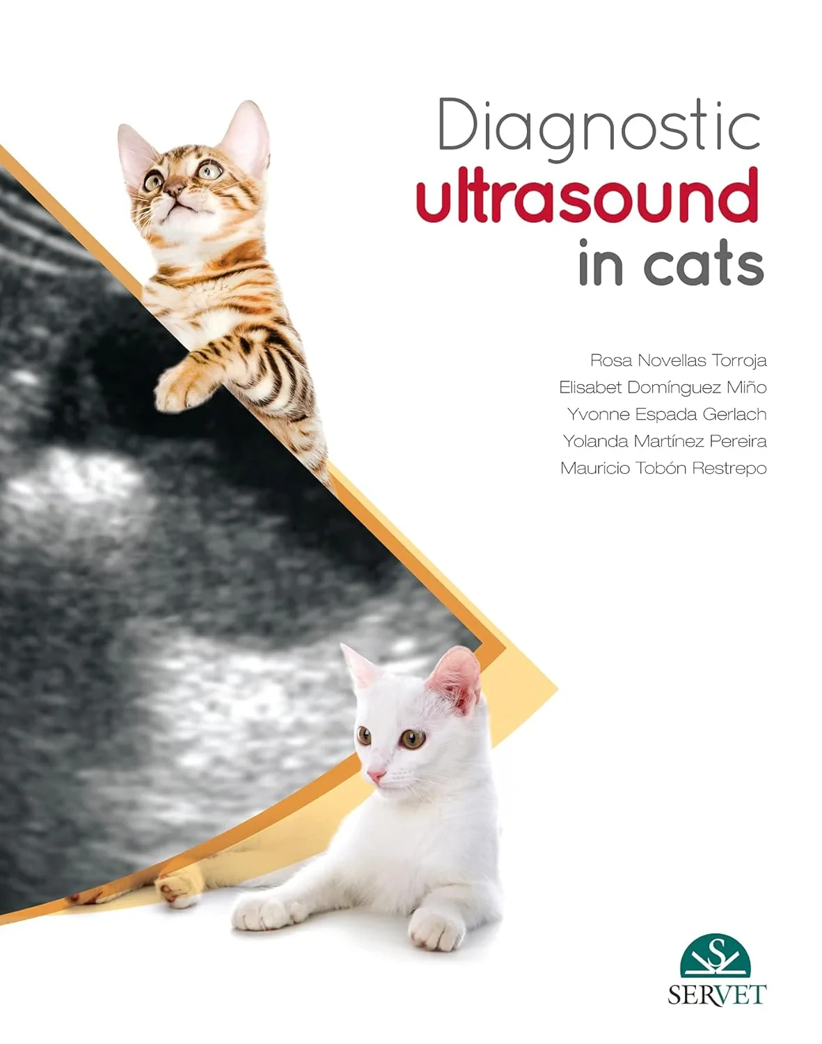 Coperta cărții "Diagnostic Ultrasound in Cats" de Elisabet Domínguez Miño Novellas Torroja Rosa, Martínez Pereira Yolanda, Espada Gerlach Yvonne, Domínguez Miño