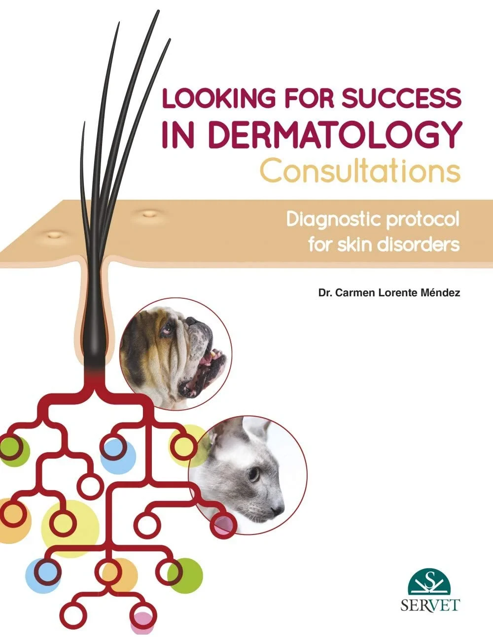 Coperta cărții "Looking for Success in Dermatology Consultations" de Carmen Lorente Méndez