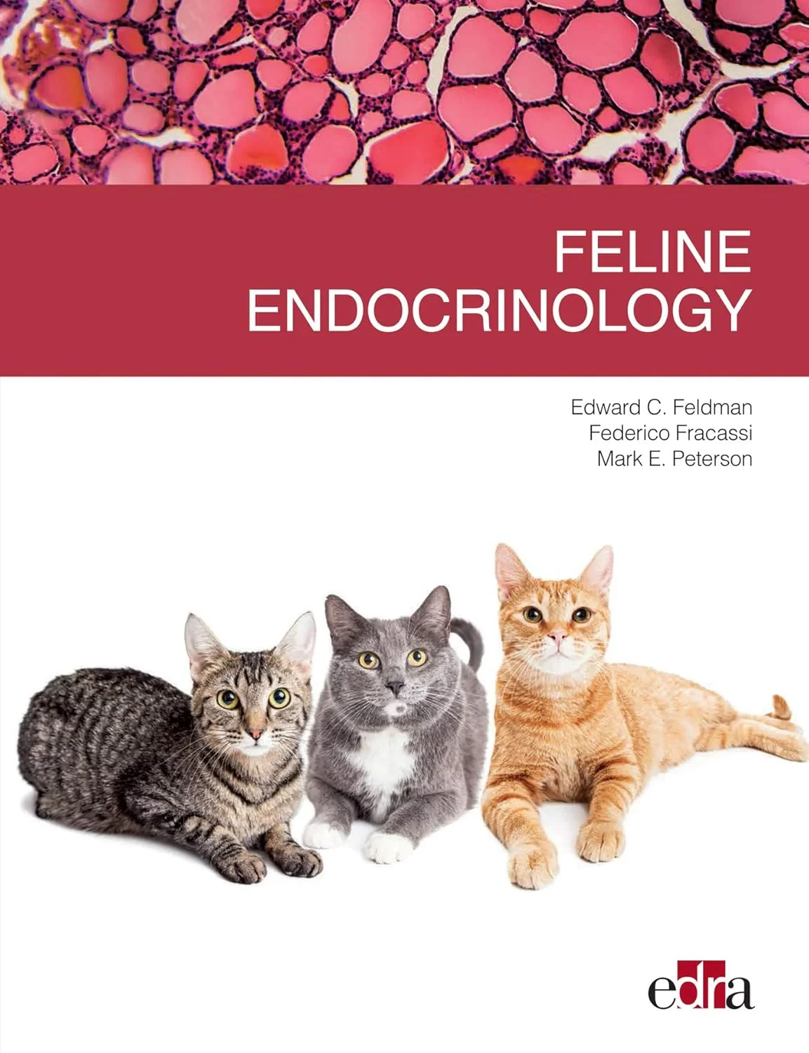 Coperta cărții "Feline endocrinology" de Mark E Peterson