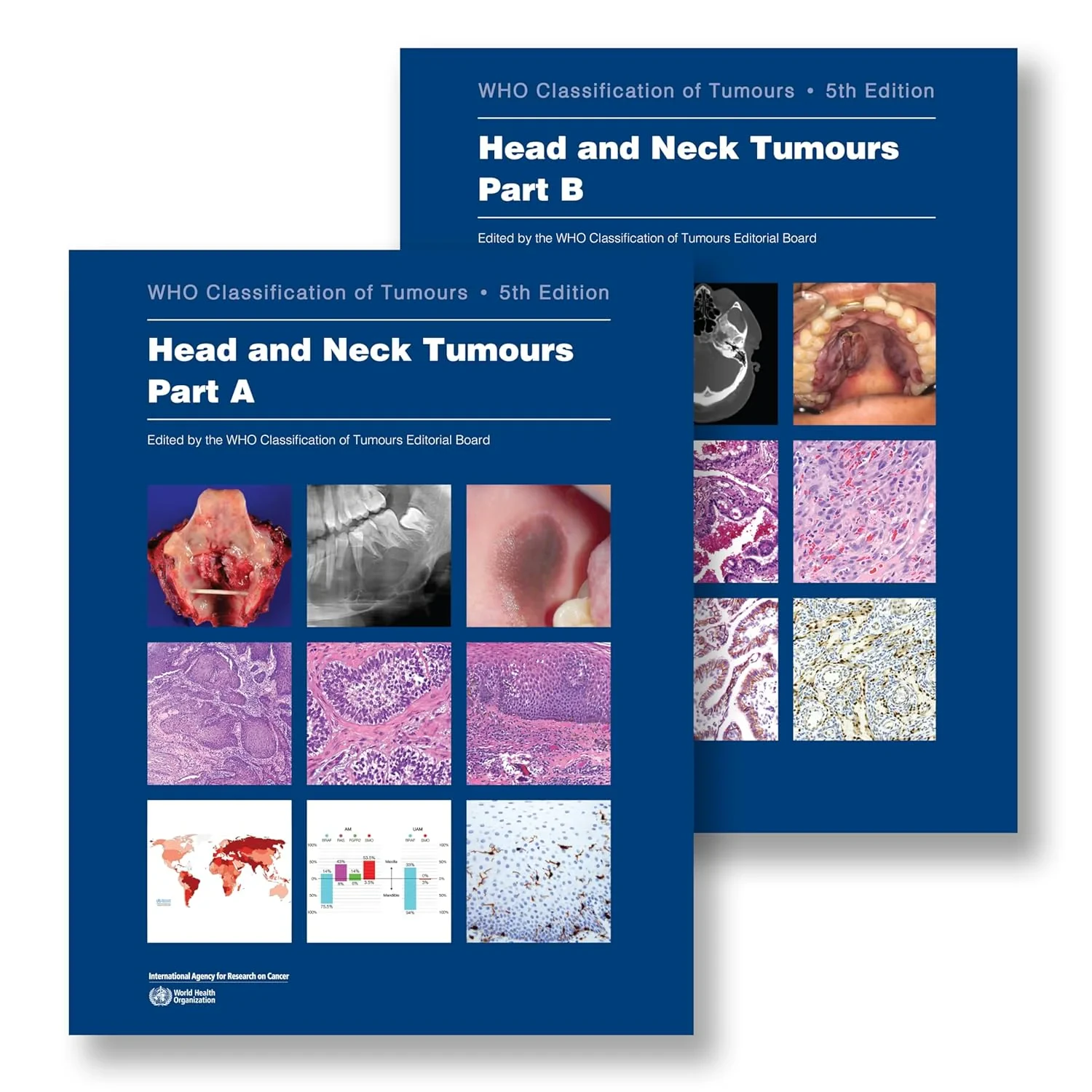 Head and Neck Tumours. WHO Classification of Tumou...