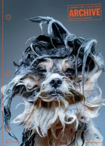 Luerzer's Archive 4/19