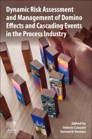 Dynamic Risk Assessment and Management of Domino E...