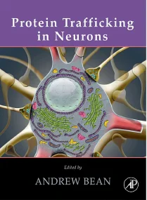 Protein Trafficking in Neurons