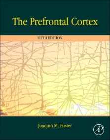 The Prefrontal Cortex