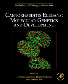 Caenorhabditis Elegans