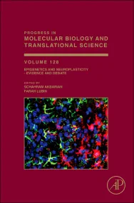 Epigenetics and Neuroplasticity - Evidence and Deb...
