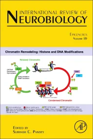 Epigenetics