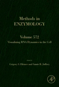 Visualizing RNA Dynamics in the Cell