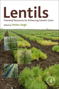 Lentils