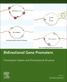 Bidirectional Gene Promoters