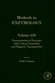 Nanoarmoring of Enzymes with Carbon Nanotubes and ...