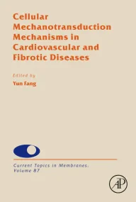 Cellular Mechanotransduction Mechanisms in Cardiov...
