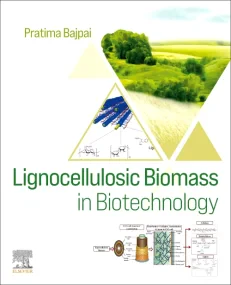 Lignocellulosic Biomass in Biotechnology