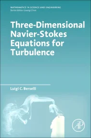 Three-Dimensional Navier-Stokes Equations for Turb...