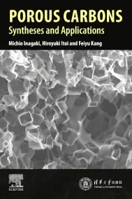 Porous Carbons