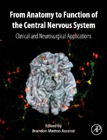 From Anatomy to Function of the Central Nervous Sy...