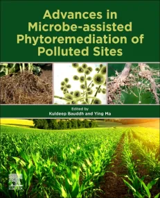 Advances in Microbe-assisted Phytoremediation of P...