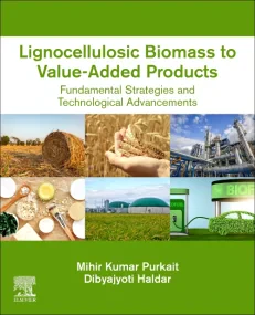 Lignocellulosic Biomass to Value-Added Products