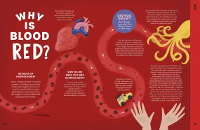 Can You Get Rainbows in Space?