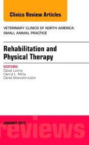 Rehabilitation and Physical Therapy, An Issue of V...