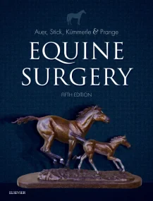 Equine Surgery