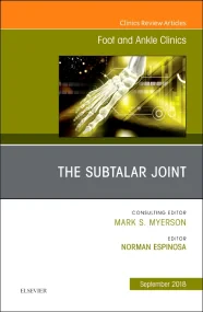 The Subtalar Joint, An issue of Foot and Ankle Cli...