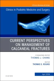 Current Perspectives on Management of Calcaneal Fr...