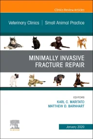 Minimally Invasive Fracture Repair, An Issue of Ve...