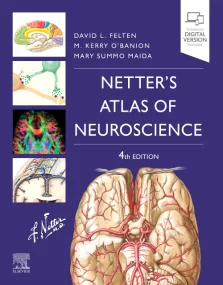 Netters Atlas of Neuroscience