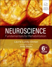 Neuroscience: Fundamentals for Rehabilitation