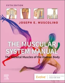 The Muscular System Manual: The Skeletal Muscles o...