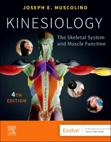 Kinesiology: The Skeletal System and Muscle Functi...