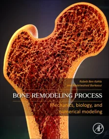 Bone Remodeling Process