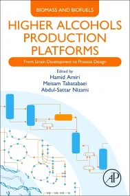 Higher Alcohols Production Platforms