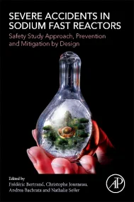 Severe Accidents in Sodium Fast Reactors