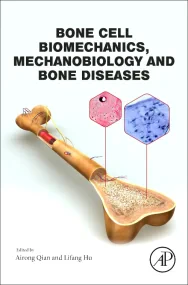 Bone Cell Biomechanics, Mechanobiology and Bone Di...