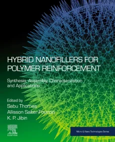 Hybrid Nanofillers for Polymer Reinforcement