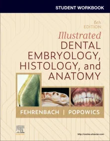 Student Workbook for Illustrated Dental Embryology...