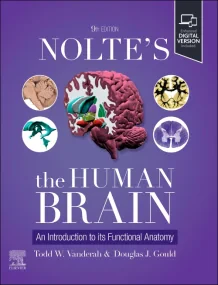 Nolte's The Human Brain: An Introduction to its Fu...