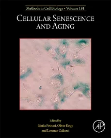 Cellular Senescence and Aging