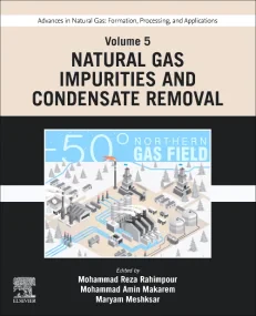 Advances in Natural Gas: Formation, Processing, an...