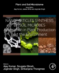Nanoparticles Synthesis by Soil Microbes
