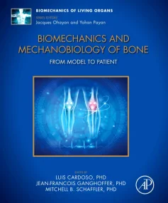 Biomechanics and Mechanobiology of Bone